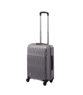 Triaxis Titanium Silver Small Luggage