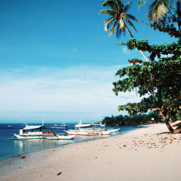 7 Things You Need to Try in Panglao, Bohol